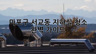 마포구 서교동 지하실 청소 완벽 가이드