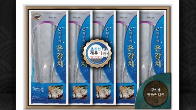제주 갈치 선물, 특대 사이즈로 풍성하게! 갈치수협은갈치제주선물세트특대 후기