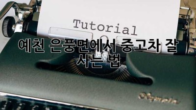 예천 은풍면에서 중고차 잘 사는 법